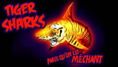 logo Tiger Sharks